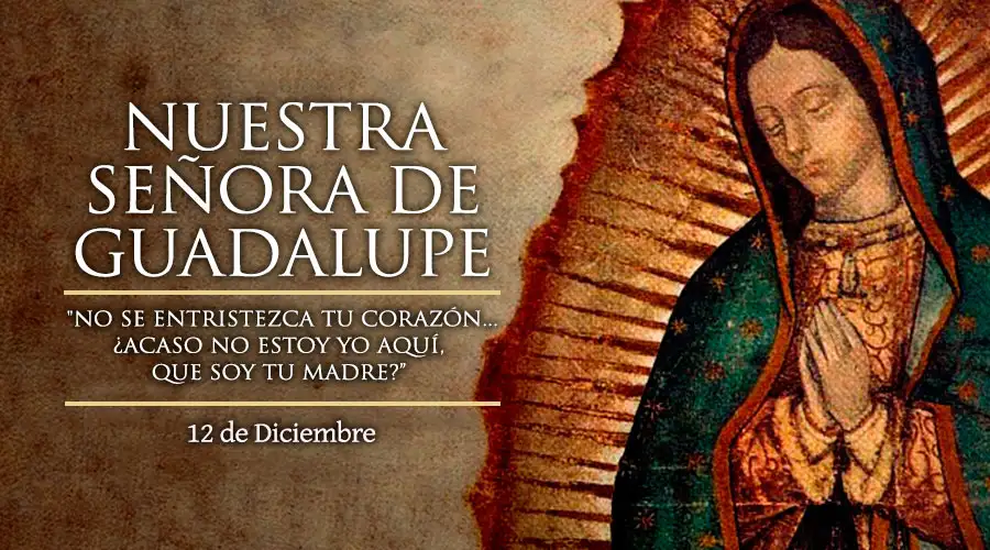 Virgen de guadalupe mexico